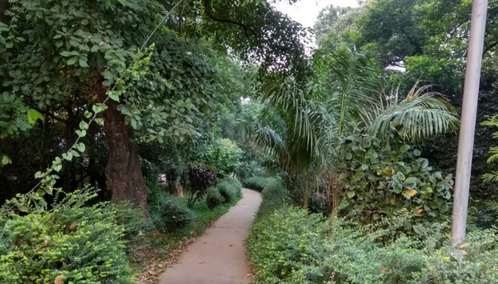 National Botanical Garden
