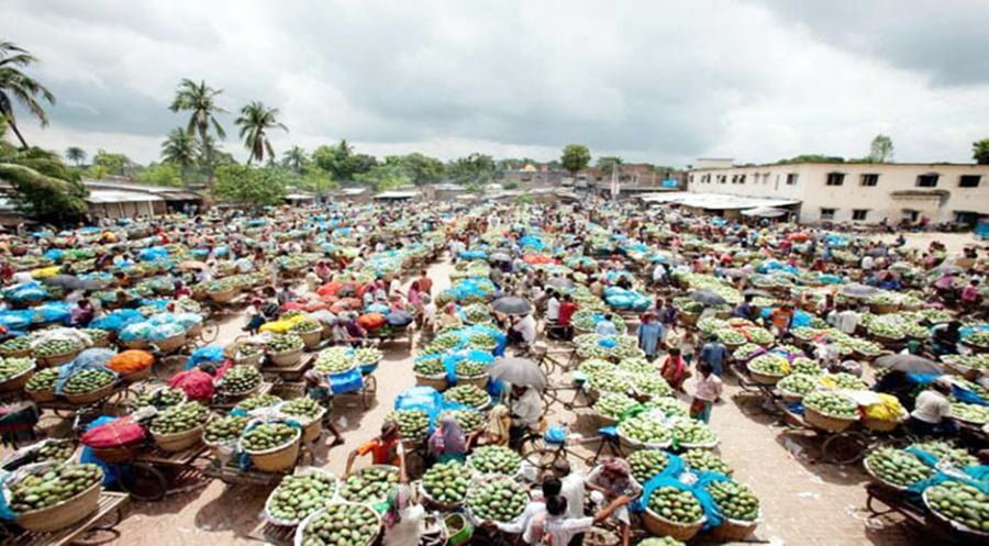 Kansat Mango Market chapainawabganj