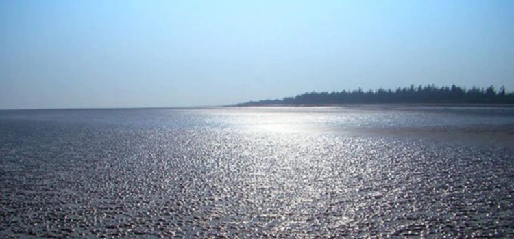 Mandarbaria
