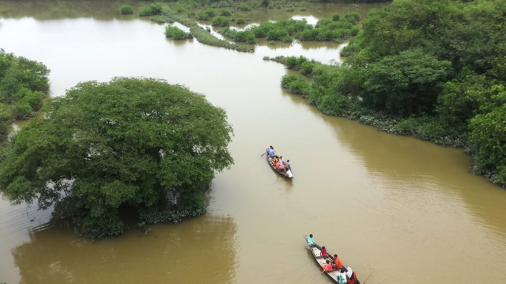 Ratargul Swamp Forest