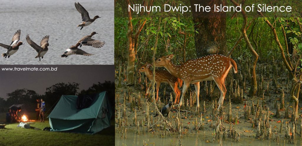 Nijhum Dwip : The Island of Silence