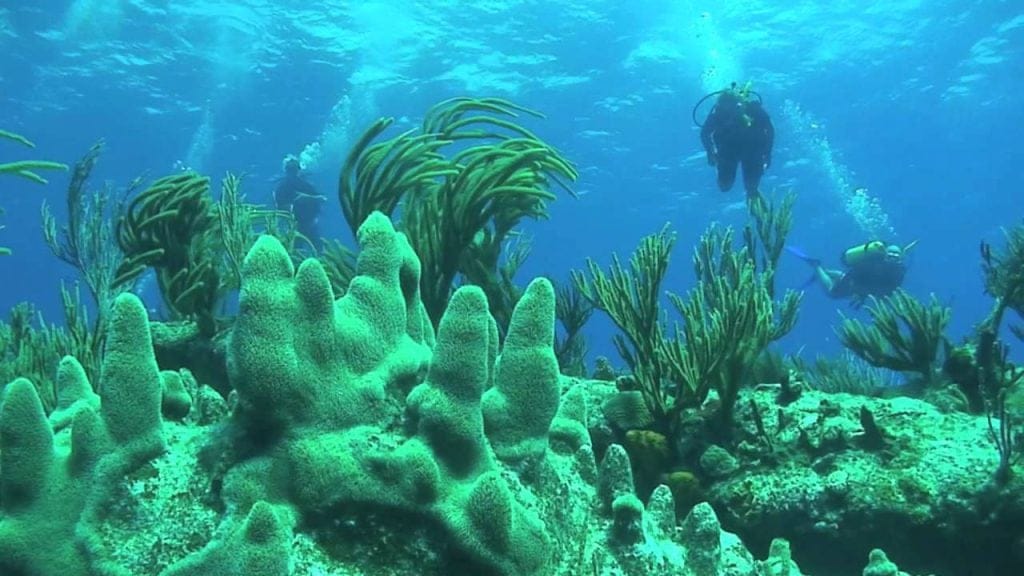 Scuba Diving in Cox's Bazar St. Martin's Island