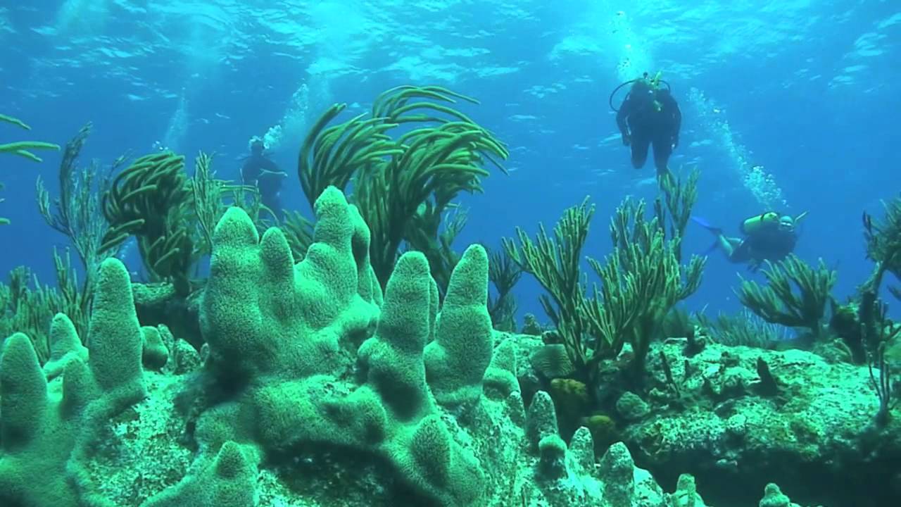 Scuba Diving in Cox's Bazar St. Martin's Island