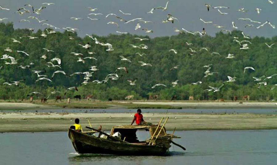 Top 15 Islands in Bangladesh you shouldn't Miss