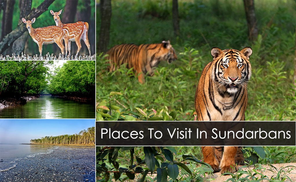 Places to visit/Things To Do in Sundarbans - Travel Mate
