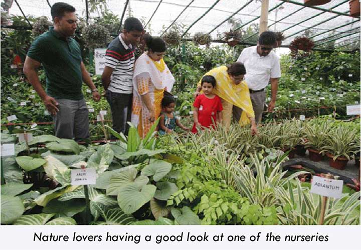People checking out the nurseries 