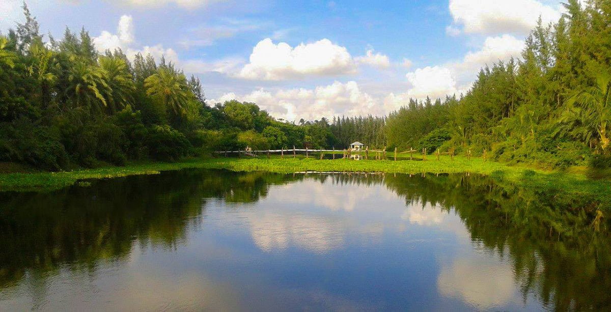 National-Botanical-Garden