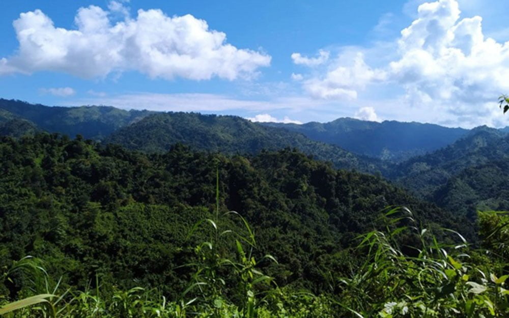 damtua hilly areas