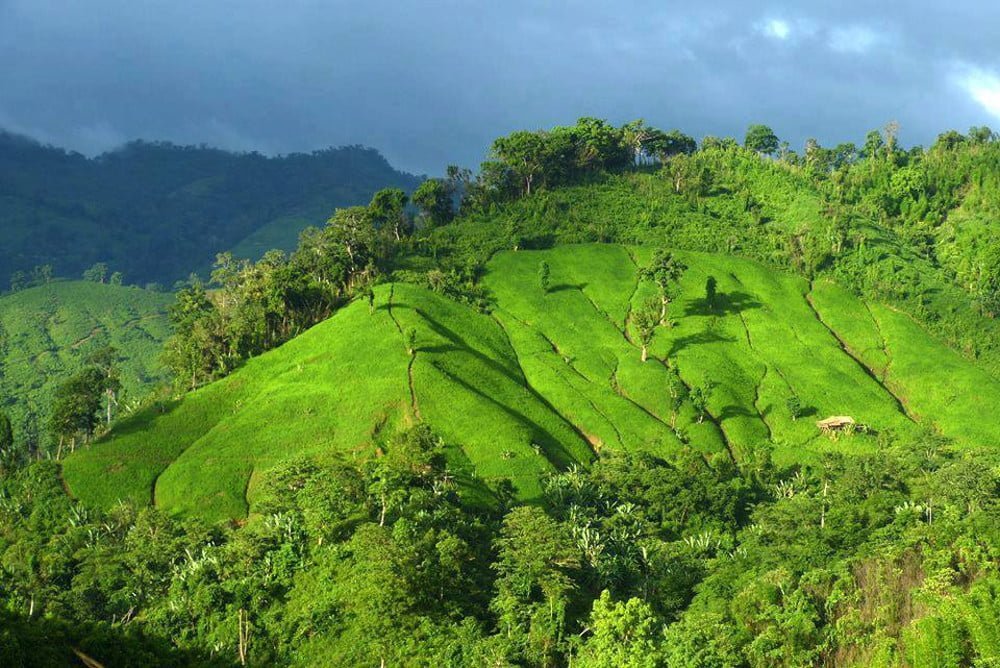 Chimbuk Hilly Slope