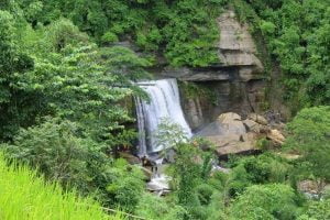 tinap saitar bandarban