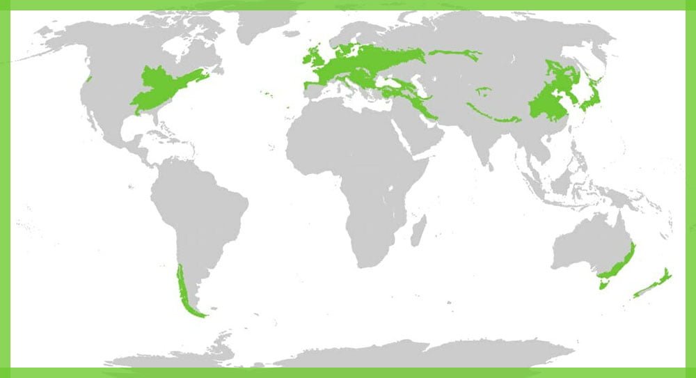 Tropical Deciduous Forest Countries Map