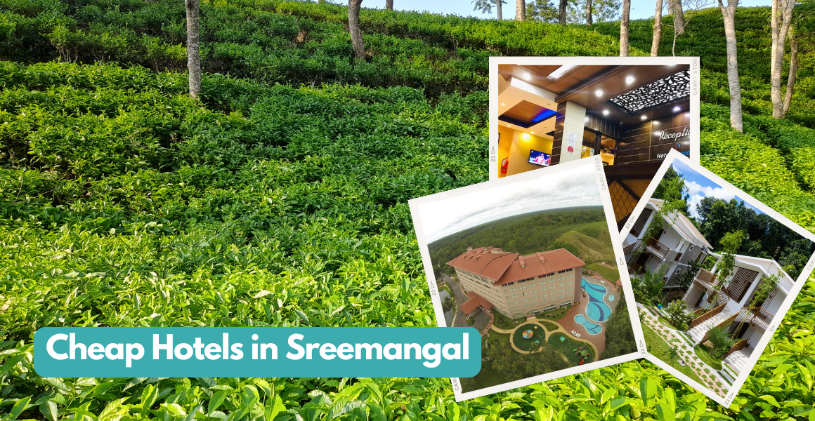Hotels in Sreemangal