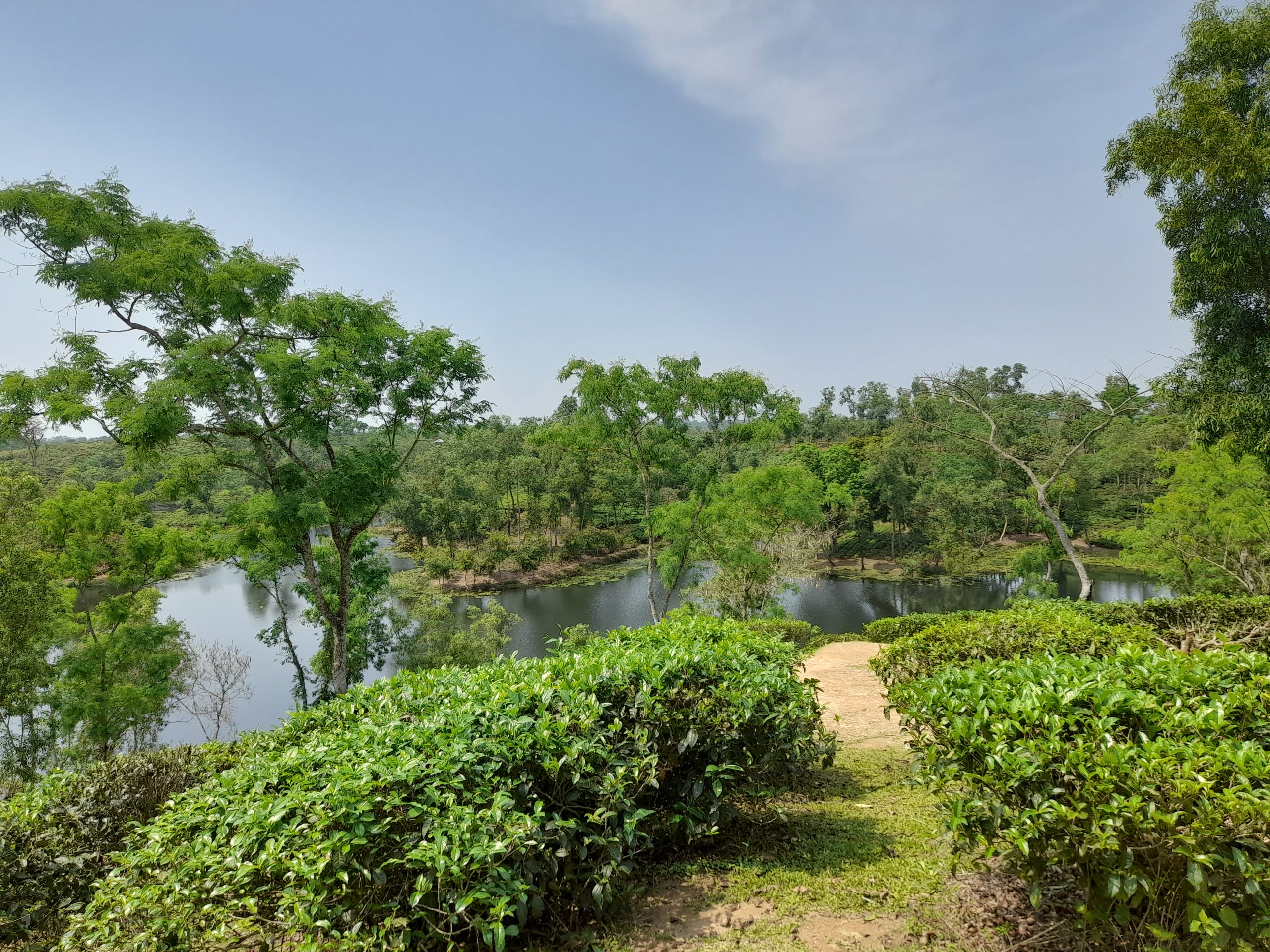 Madhabpur Lake -Sreemangal