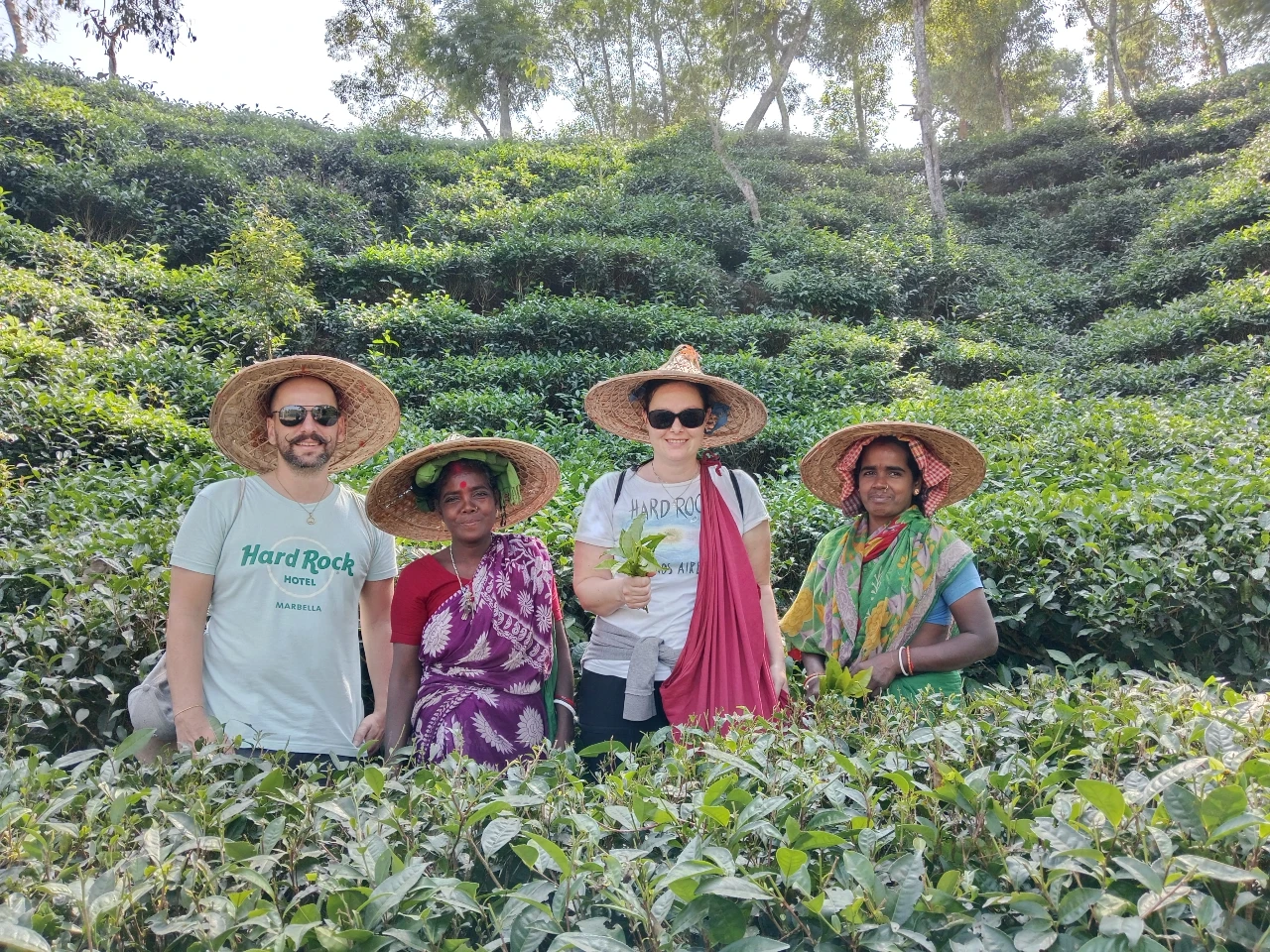 Tea Ggarden Sreemangal